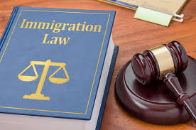 Florida-immigration-law-attorneys